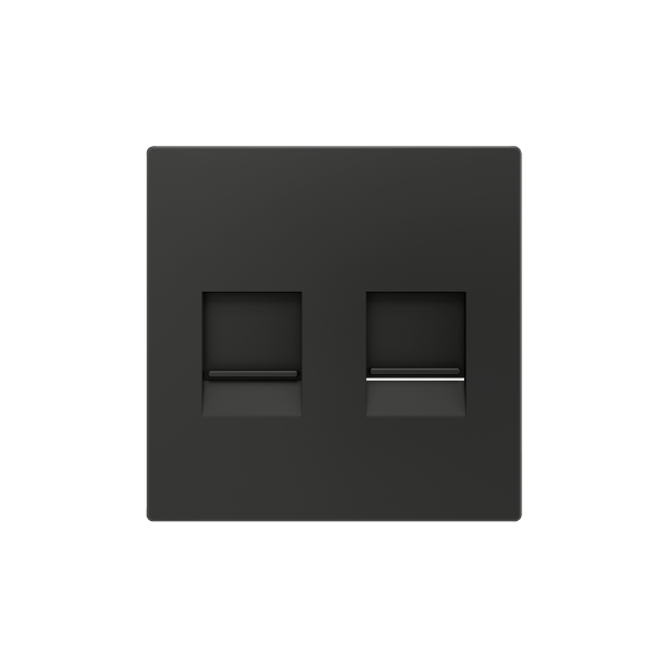 ZS55. Cover plate for RJ45 connector 55x55 mm - 2 inserts - Anthracite by Zennio