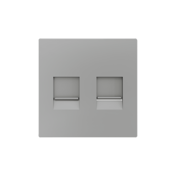 ZS55. Cover plate for RJ45 connector 55x55 mm - 2 inserts - Silver by Zennio