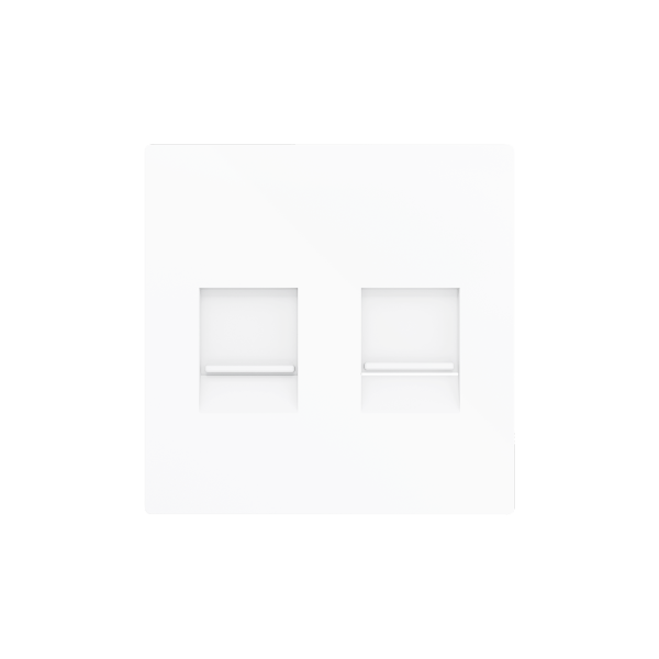 ZS55. Cover plate for RJ45 connector 55x55 mm - 2 inserts - Matt white by Zennio