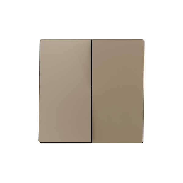 ZS55. Double switch cover 55x55 mm - Champagne by Zennio