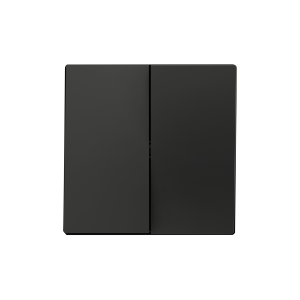 ZS55. Double switch cover 55x55 mm - Anthracite by Zennio