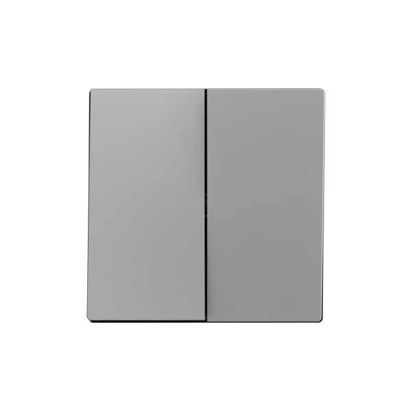 ZS55. Double switch cover 55x55 mm - Silver by Zennio