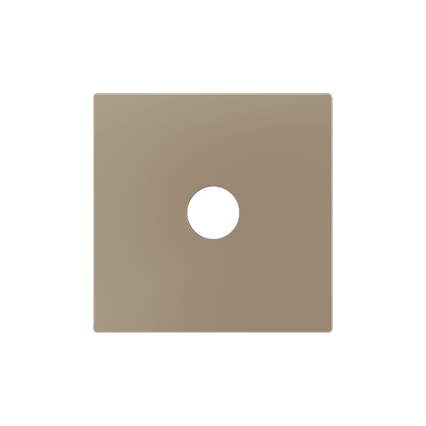 ZS55. Cover for jack 3.5mm insert 55x55 mm - Champagne by Zennio