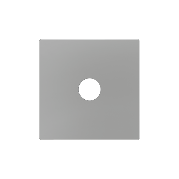 ZS55. Cover for jack 3.5mm insert 55x55 mm - Silver by Zennio