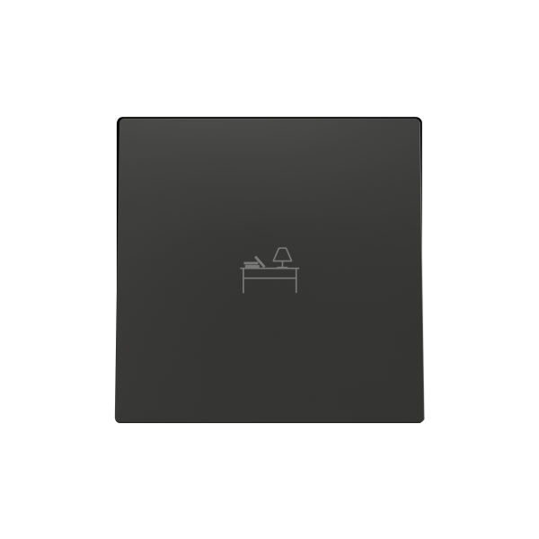 ZS55. Single switch cover 55x55 mm - Anthracite - Custom. Minimun 100 units per design. by Zennio