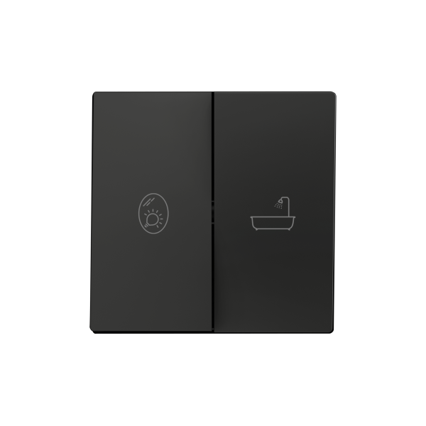 ZS55. Double switch cover 55x55 mm - Anthracite - Custom. Minimun 100 units per design. by Zennio