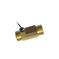 3/4" pipe nipple with temperature probe (male-male) by Zennio