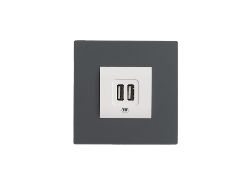 Metal Mounting Frame For Sockets - 2M - 1Pc. – Eelectron