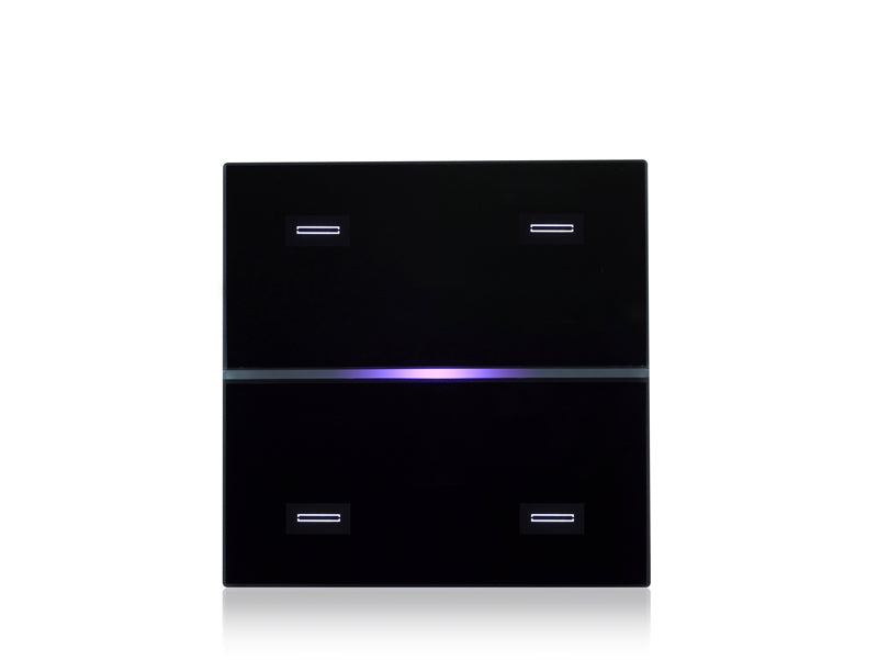 Double Glass - 4 Ch. - Black + RGB – Eelectron