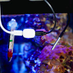 Shelly Temp. Sensor DS18B20 3.5mm jack - image 3