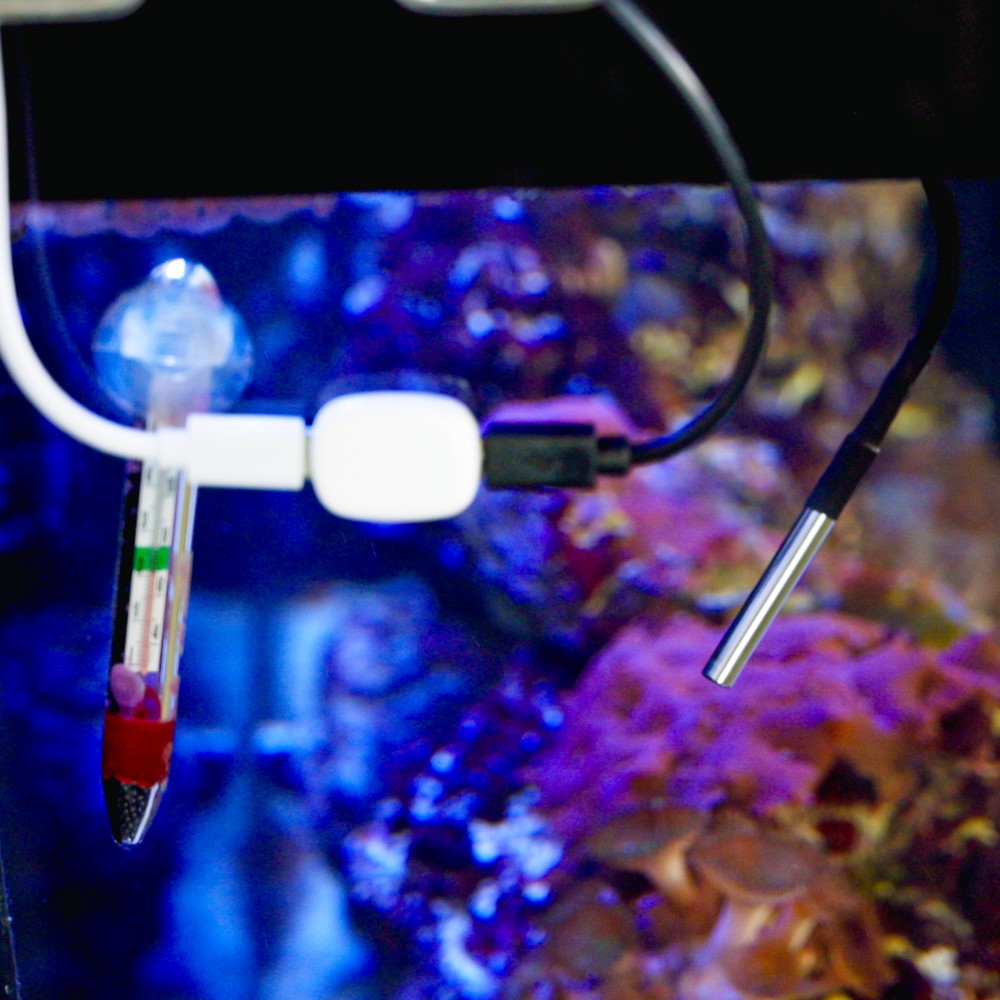 Shelly Temp. Sensor DS18B20 3.5mm jack - image 3