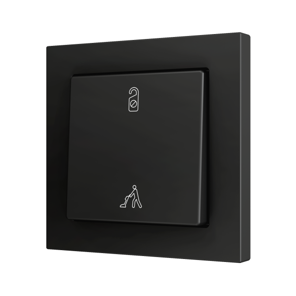 ZS55. Simple Soft push button for 2 binary inputs 55x55 mm - Anthracite - Custom. Minimum 100 units per design by Zennio