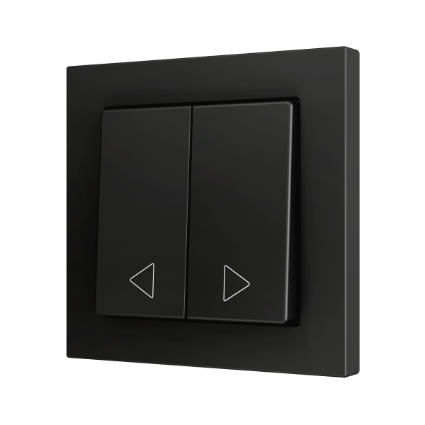 ZS55. Double Soft push button for 2 binary inputs 55x55 mm - Anthracite - Custom. Minimum 100 units per design by Zennio