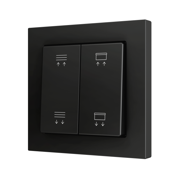 ZS55. Double Soft push button for 4 binary inputs 55x55 mm - Anthracite - Custom. Minimum 100 units per design by Zennio