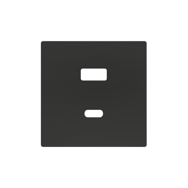 ZS55. Cover plate for double USB C+A charger 55x55 mm - Anthracite by Zennio
