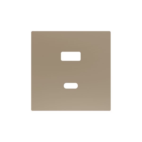 ZS55. Cover plate for double USB C+A charger 55x55 mm - Champagne by Zennio