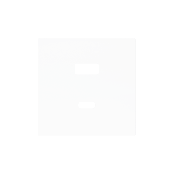 ZS55. Cover plate for double USB C+A charger 55x55 mm - Matt white by Zennio