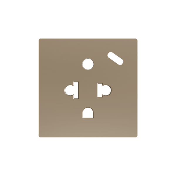 ZS55. Euro-American socket cover with USB C 55x55 mm - Champagne by Zennio