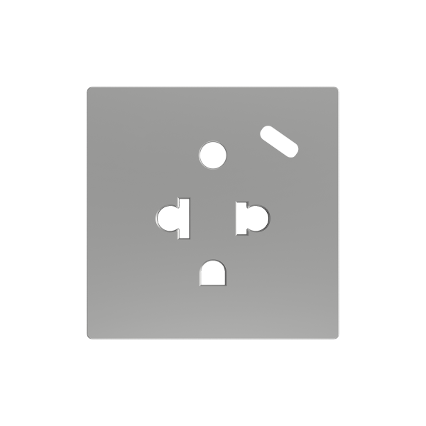 ZS55. Euro-American socket cover with USB C 55x55 mm - Silver by Zennio
