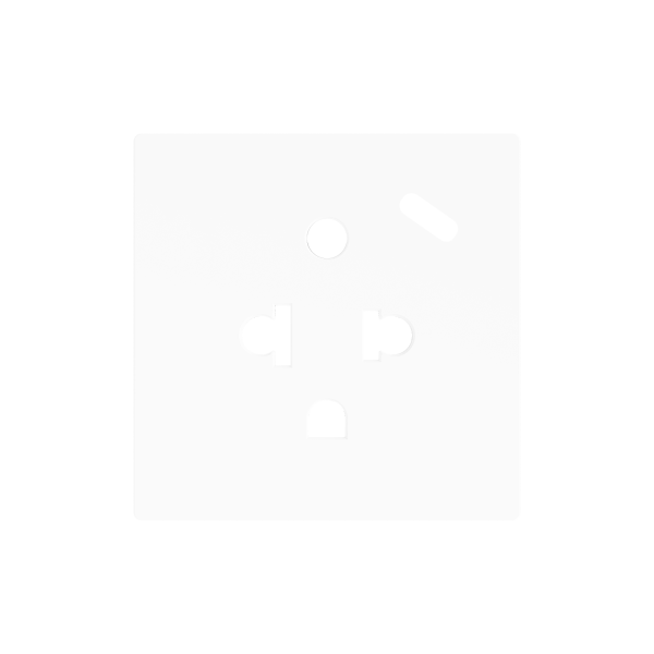 ZS55. Euro-American socket cover with USB C 55x55 mm - Matt white by Zennio