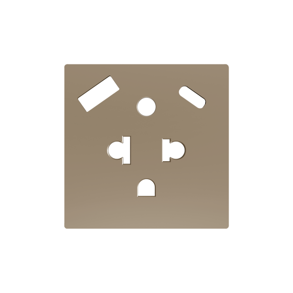 ZS55. Euro-American socket cover with USB C and A 55x55 mm - Champagne by Zennio