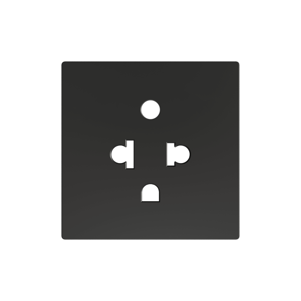 ZS55. Euro-American socket cover 55x55 mm - Anthracite by Zennio