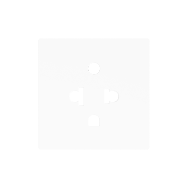 ZS55. Euro-American socket cover 55x55 mm - Matt white by Zennio