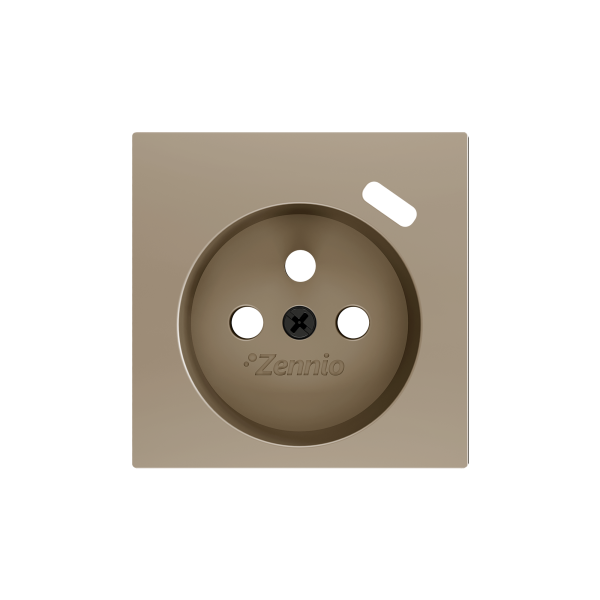 ZS55. French socket cover with USB C 55x55 mm - Champagne by Zennio