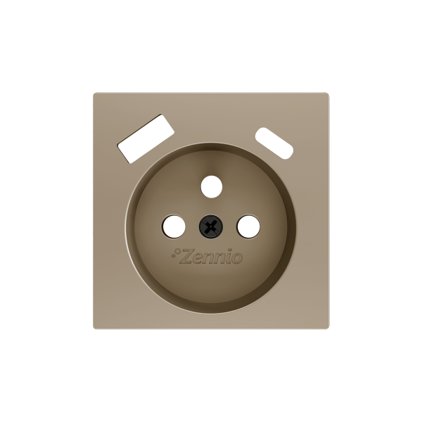 ZS55. French socket cover with USB C and A 55x55 mm - Champagne by Zennio