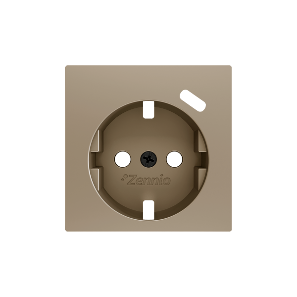 ZS55. Schuko socket cover with USB C 55x55 mm - Champagne by Zennio
