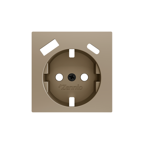 ZS55. Schuko socket cover with USB C and A 55x55 mm - Champagne by Zennio