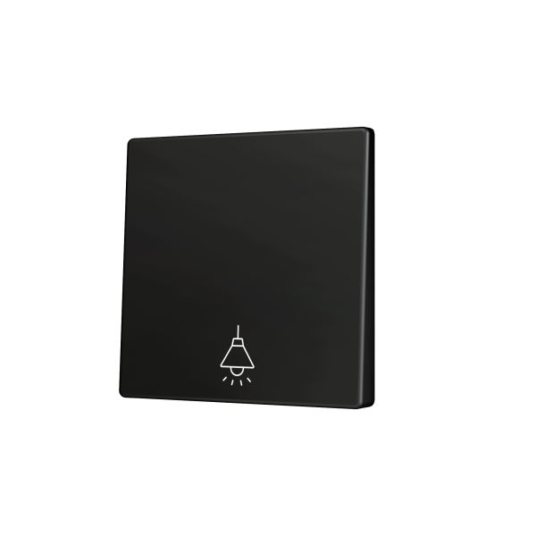 ZS55. Cover for Simple KNX Soft push button 55x55 mm. Tilt down - Anthracite - Custom. Minimum 100 units per design by Zennio