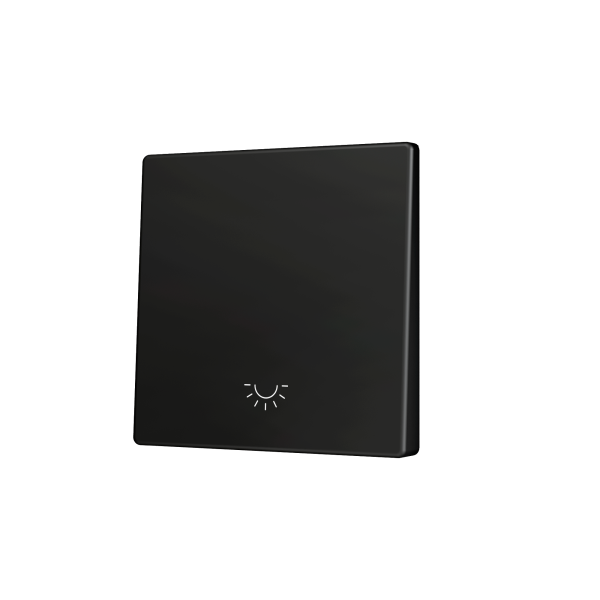 ZS55. Cover for Simple KNX Soft push button 55x55 mm. Tilt down - Light icon - Anthracite by Zennio