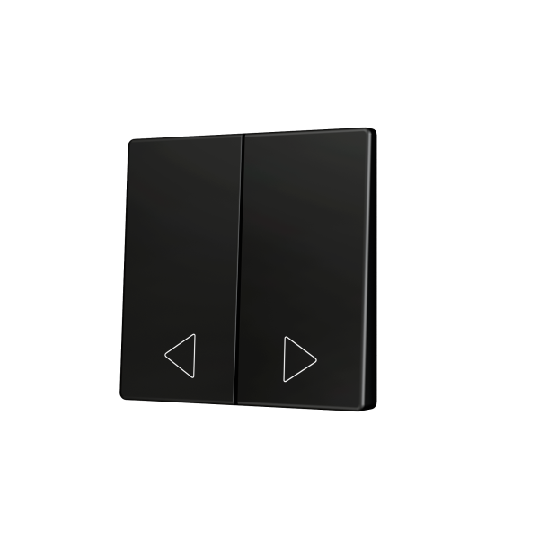 ZS55. Cover for Double KNX Soft push button 55x55 mm. Tilt down - Anthracite - Custom. Minimum 100 units per design by Zennio