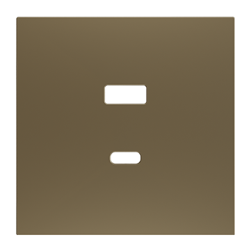 ZS70. Cover plate for double USB C+A charger 70x70 mm - Champagne by Zennio