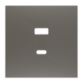 ZS70. Cover plate for double USB C+A charger 70x70 mm - Silver by Zennio