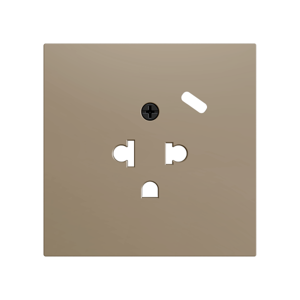 ZS70. Euro-American socket cover with USB C 70x70 mm - Champagne by Zennio