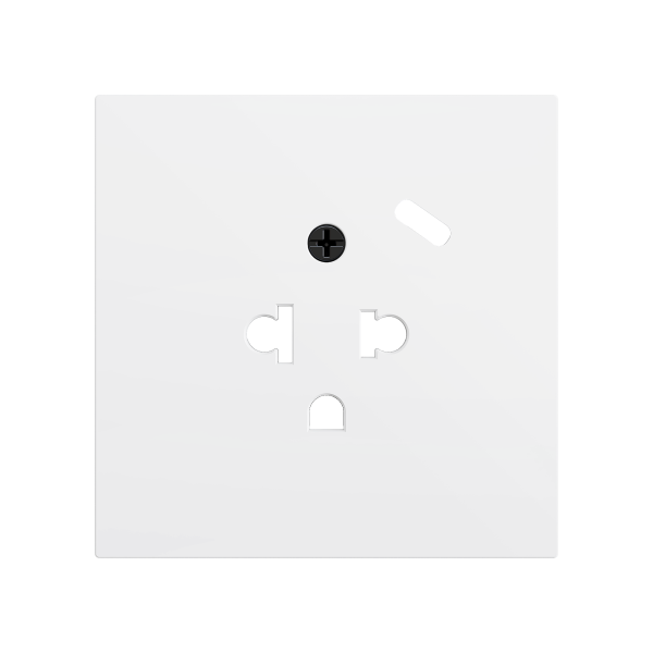 ZS70. Euro-American socket cover with USB C 70x70 mm - Matt white by Zennio