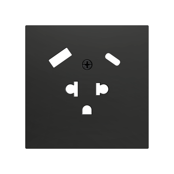 ZS70. Euro-American socket cover with USB C and A 70x70 mm - Anthracite by Zennio