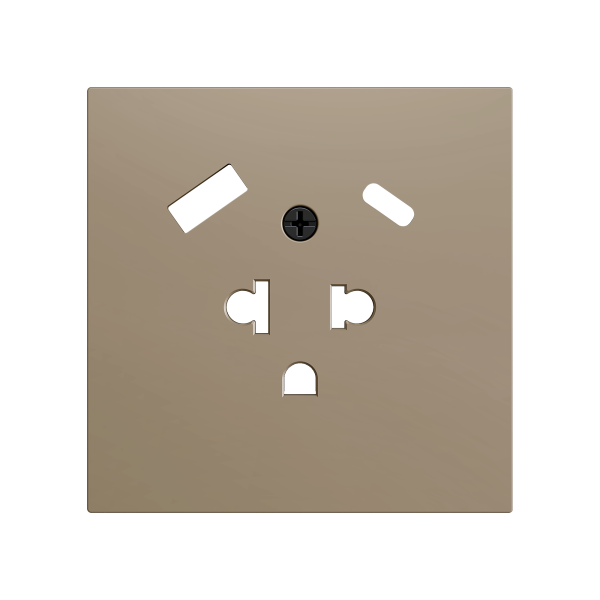ZS70. Euro-American socket cover with USB C and A 70x70 mm - Champagne by Zennio