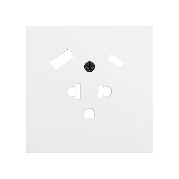 ZS70. Euro-American socket cover with USB C and A 70x70 mm - Matt white by Zennio