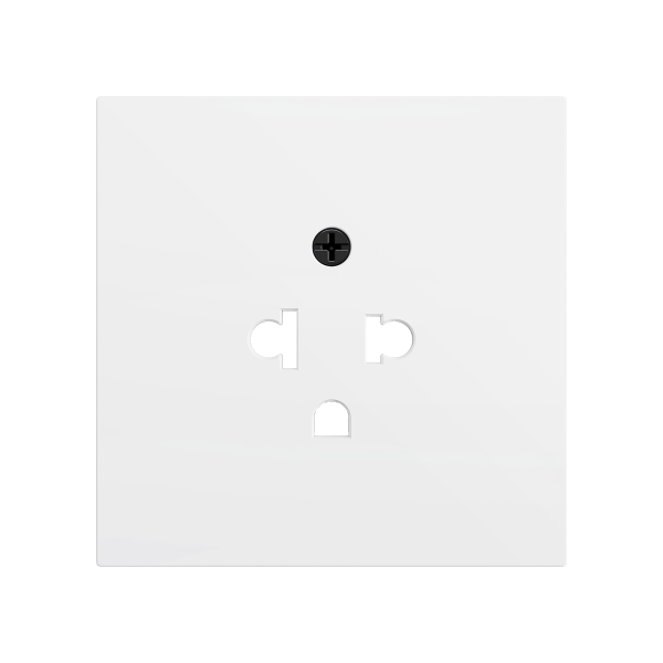 ZS70. Euro-American socket cover 70x70 mm - Matt white by Zennio