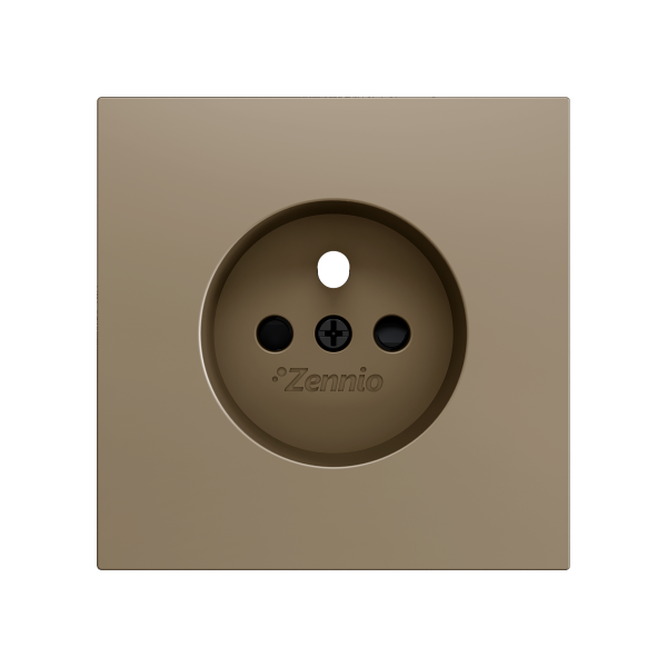 ZS70. French screwless socket cover 70x70 mm - Champagne by Zennio