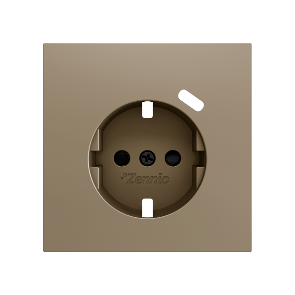 ZS70. Schuko socket cover with USB C 70x70 mm - Champagne by Zennio