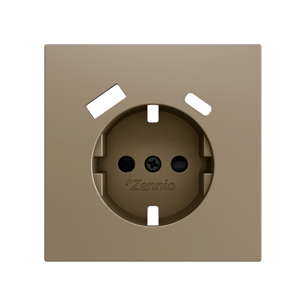 ZS70. Schuko socket cover with USB C and A 70x70 mm - Champagne by Zennio