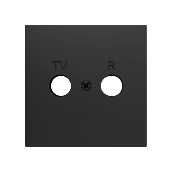 ZS70. Cover plate for TV/R insert 70x70 mm - Anthracite by Zennio