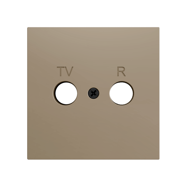 ZS70. Cover plate for TV/R insert 70x70 mm - Champagne by Zennio