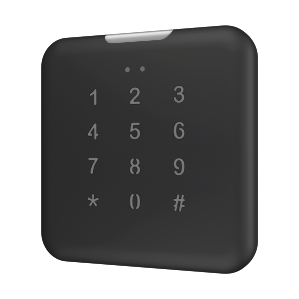 IWAC Out Keypad. In-Wall Access Controller for Outdoors installation with Keypad - Anthracite by Zennio