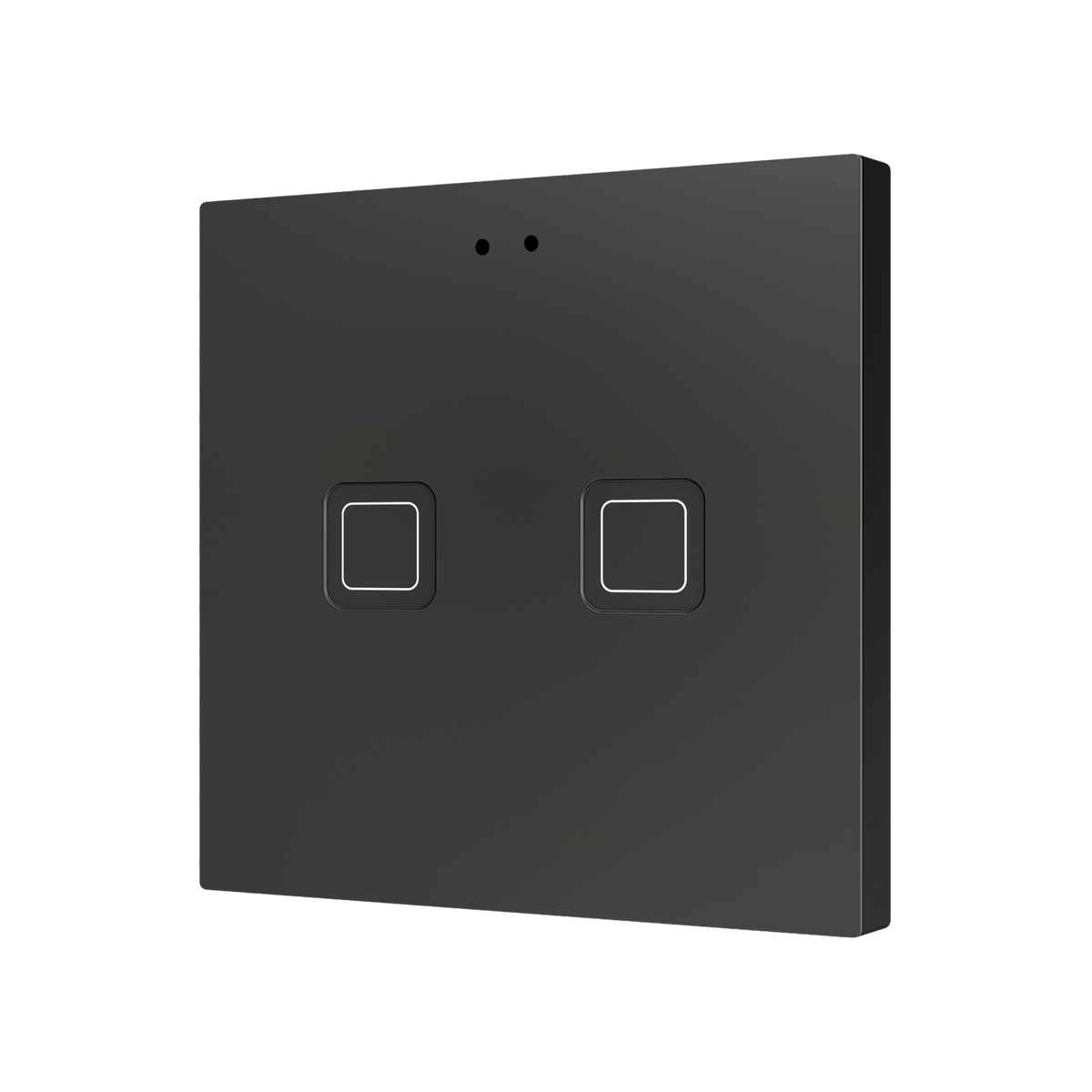 Tecla RGB 2. PC-ABS Capacitive push button - 2 buttons - Anthracite by Zennio