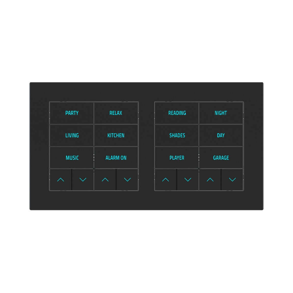 Ekinex EK-D2S plate – Fenix NTM Black Ingo (FNI)